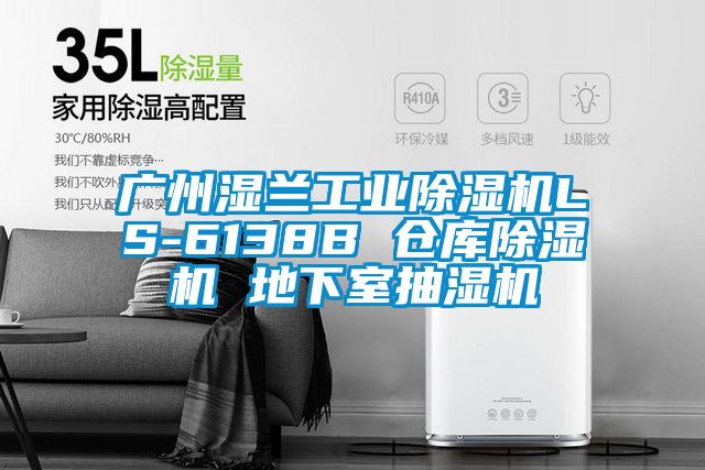 廣州濕蘭工業(yè)除濕機LS-6138B 倉庫除濕機 地下室抽濕機
