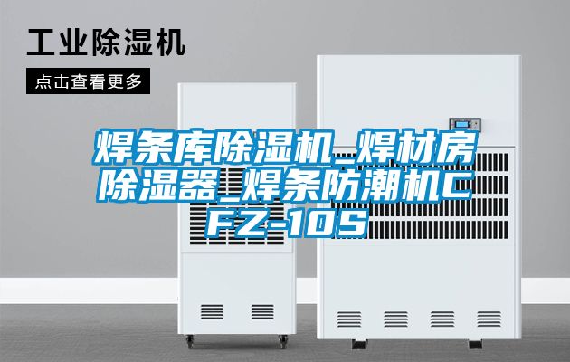 焊條庫除濕機_焊材房除濕器_焊條防潮機CFZ-10S