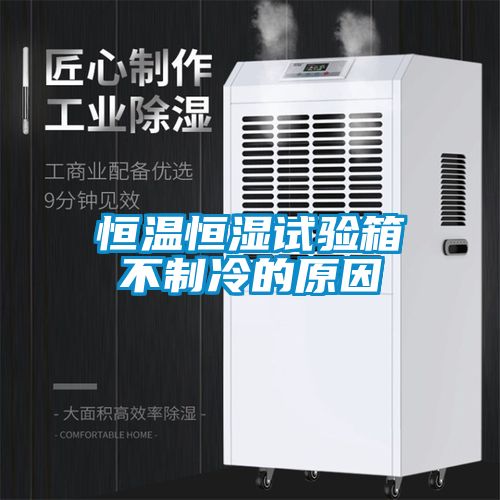 恒溫恒濕試驗箱不制冷的原因