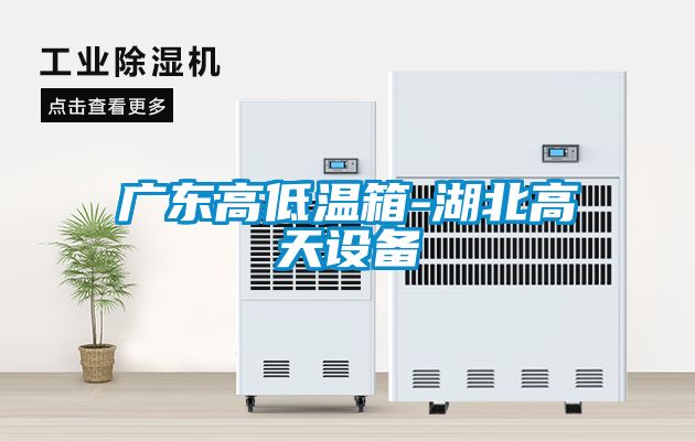 廣東高低溫箱-湖北高天設備