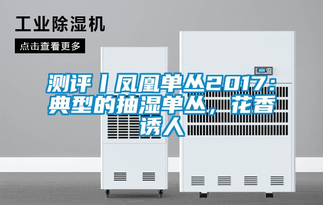 測評丨鳳凰單叢2017：典型的抽濕單叢，花香誘人