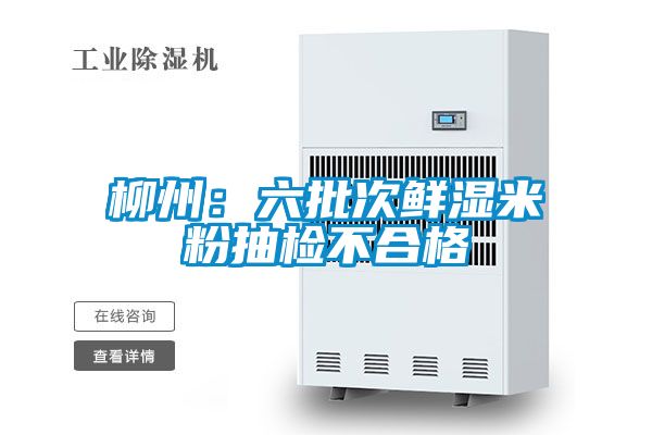 柳州：六批次鮮濕米粉抽檢不合格