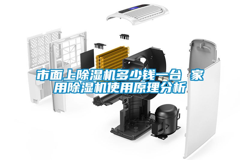 市面上除濕機多少錢一臺 家用除濕機使用原理分析