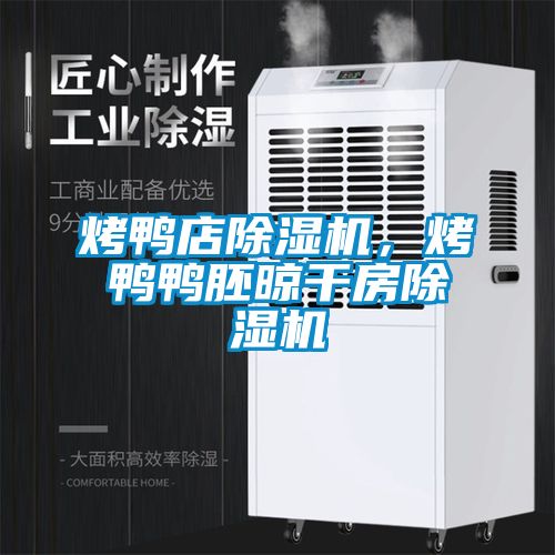 烤鴨店除濕機，烤鴨鴨胚晾干房除濕機