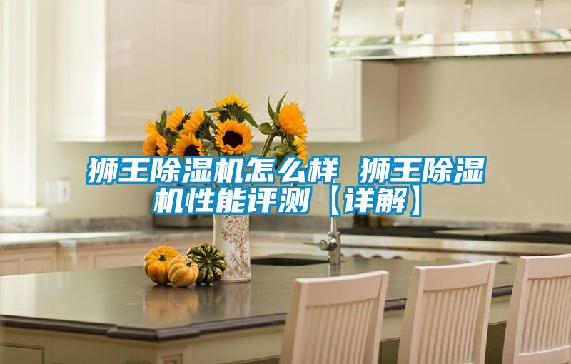 獅王除濕機怎么樣 獅王除濕機性能評測【詳解】