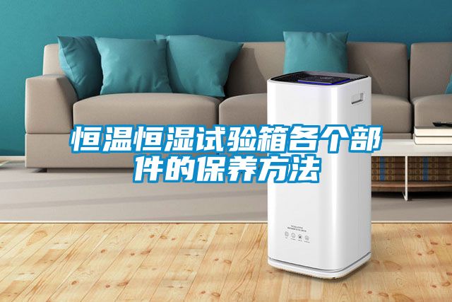 恒溫恒濕試驗箱各個部件的保養方法