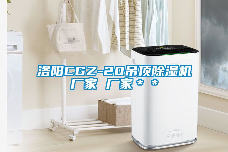洛陽CGZ-20吊頂除濕機廠家 廠家＊＊