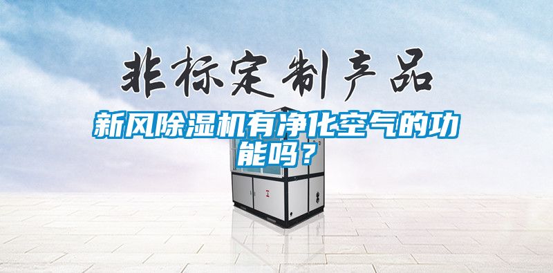 新風除濕機有凈化空氣的功能嗎？