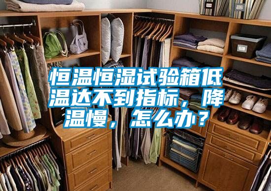 恒溫恒濕試驗(yàn)箱低溫達(dá)不到指標(biāo)，降溫慢，怎么辦？