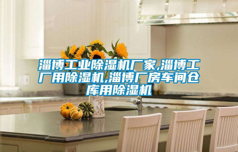 淄博工業除濕機廠家,淄博工廠用除濕機,淄博廠房車間倉庫用除濕機