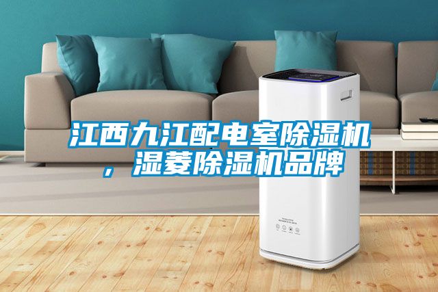 江西九江配電室除濕機，濕菱除濕機品牌