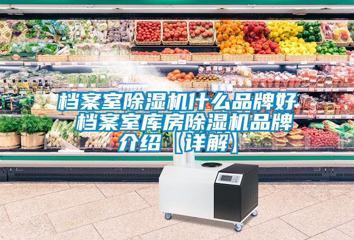檔案室除濕機什么品牌好 檔案室?guī)旆砍凉駲C品牌介紹【詳解】