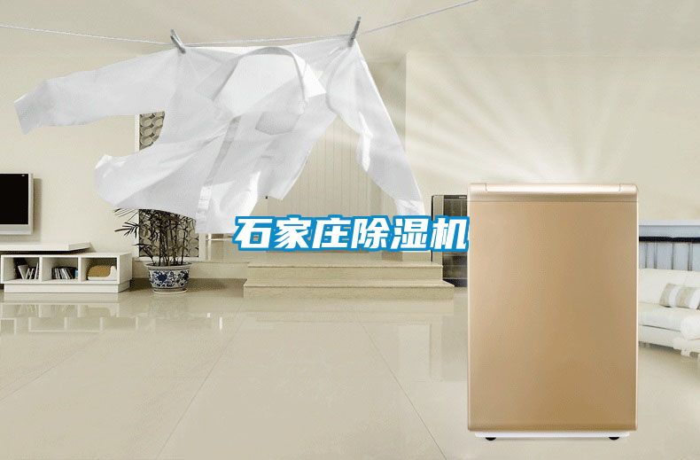石家莊除濕機(jī)