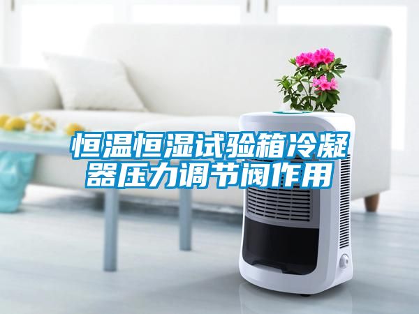 恒溫恒濕試驗箱冷凝器壓力調節閥作用