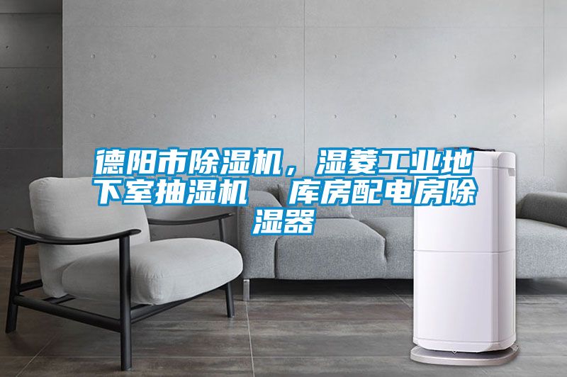 德陽(yáng)市除濕機(jī)，濕菱工業(yè)地下室抽濕機(jī)  庫(kù)房配電房除濕器