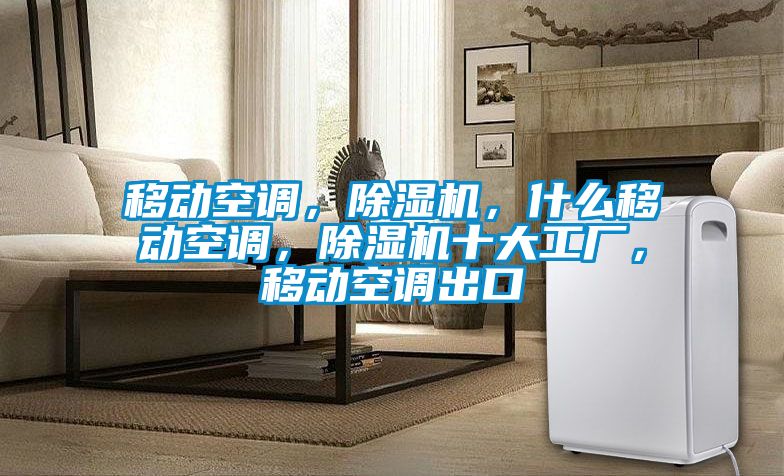 移動空調，除濕機，什么移動空調，除濕機十大工廠，移動空調出口