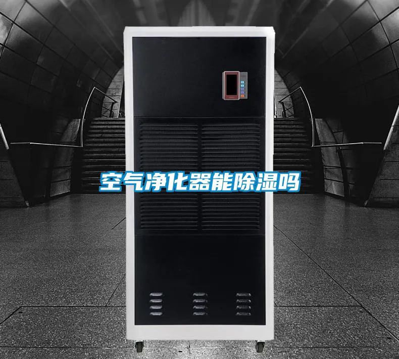 空氣凈化器能除濕嗎