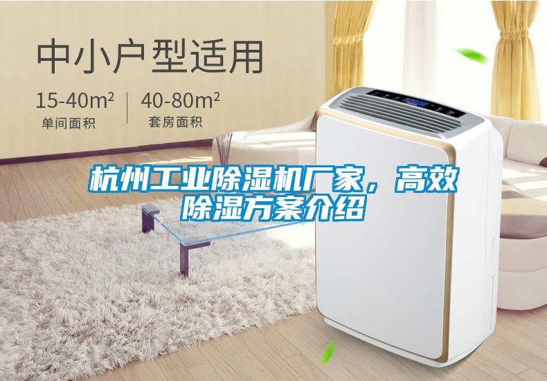 杭州工業除濕機廠家，高效除濕方案介紹