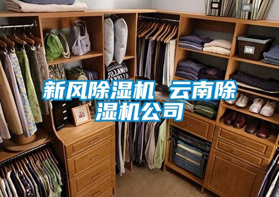 新風(fēng)除濕機(jī) 云南除濕機(jī)公司