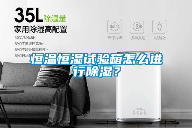 恒溫恒濕試驗箱怎么進行除濕？
