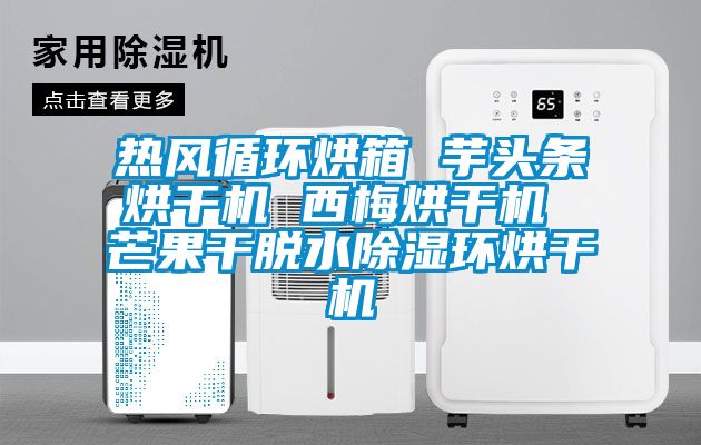 熱風循環烘箱 芋頭條烘干機 西梅烘干機 芒果干脫水除濕環烘干機