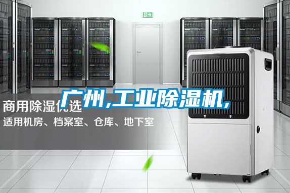 廣州,工業除濕機,
