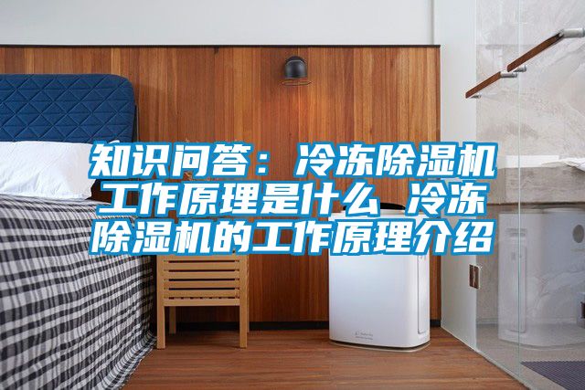 知識問答：冷凍除濕機工作原理是什么 冷凍除濕機的工作原理介紹