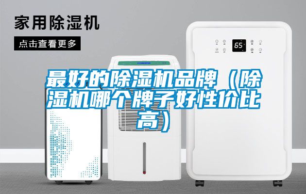 最好的除濕機品牌（除濕機哪個牌子好性價比高）