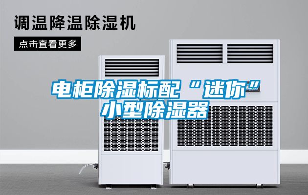 電柜除濕標配“迷你”小型除濕器
