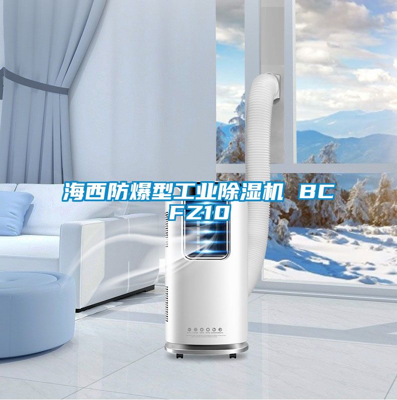 海西防爆型工業(yè)除濕機(jī) BCFZ10