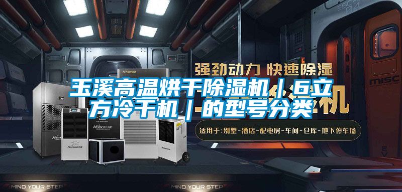 玉溪高溫烘干除濕機(jī)｜6立方冷干機(jī)｜的型號(hào)分類