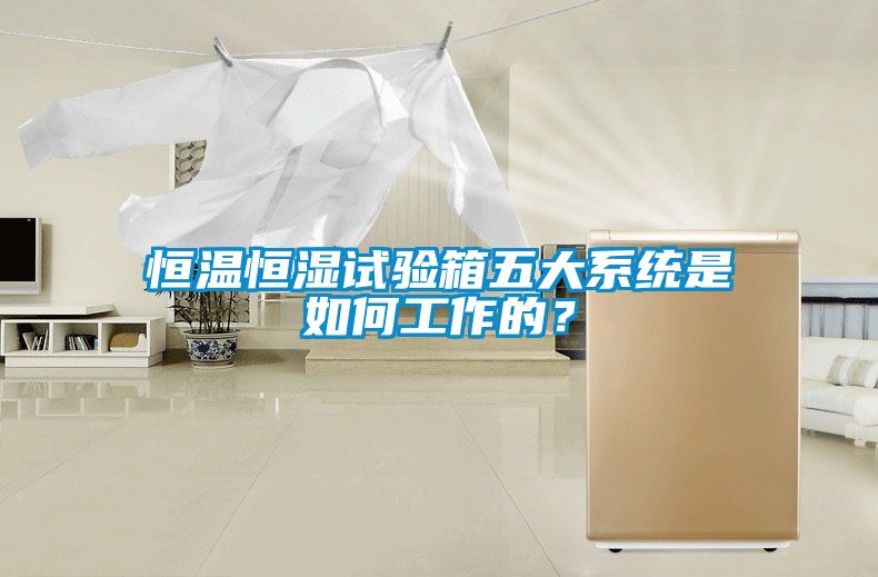 恒溫恒濕試驗箱五大系統是如何工作的？