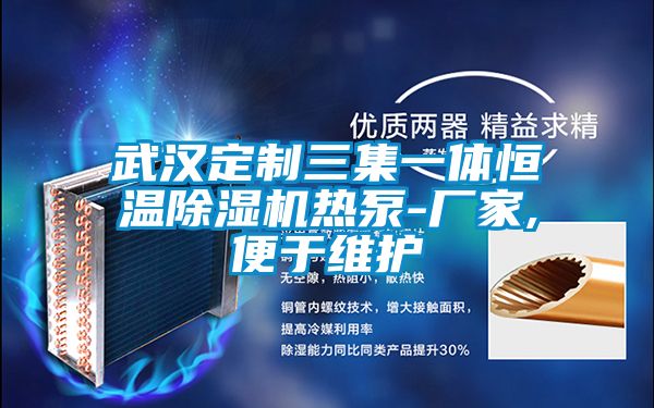 武漢定制三集一體恒溫除濕機熱泵-廠家,便于維護