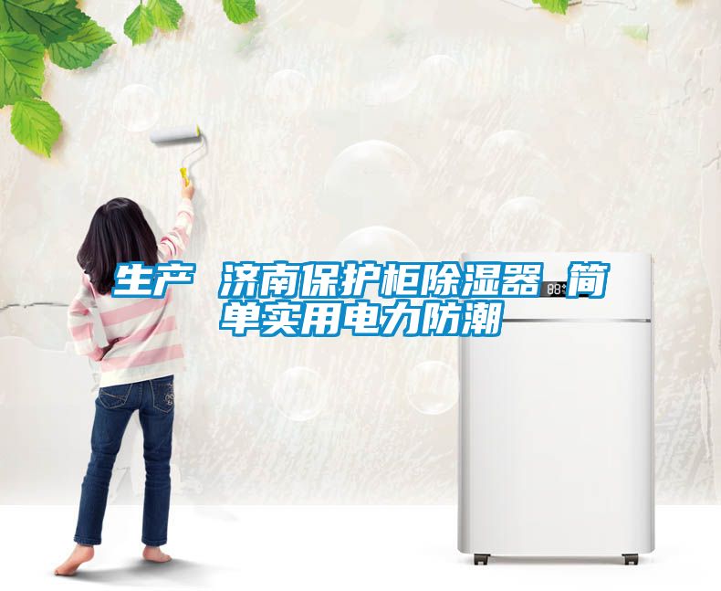 生產(chǎn) 濟(jì)南保護(hù)柜除濕器 簡單實(shí)用電力防潮