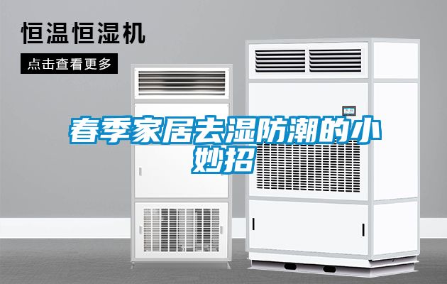 春季家居去濕防潮的小妙招