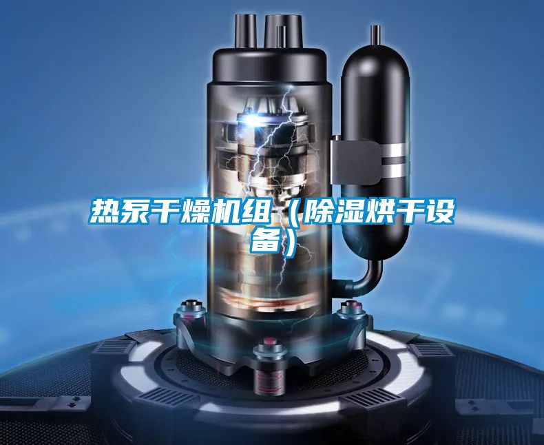 熱泵干燥機組（除濕烘干設備）