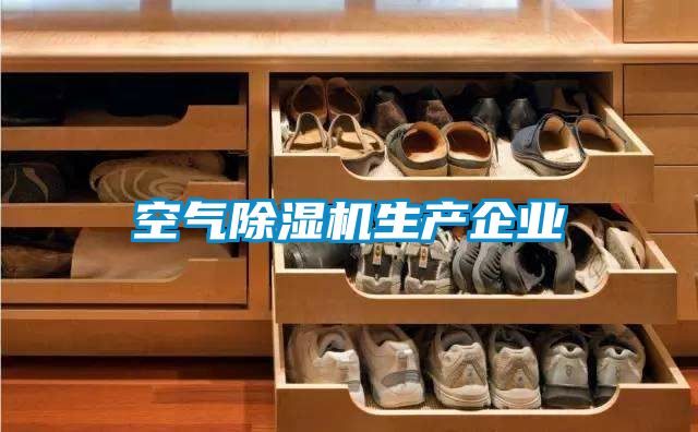 空氣除濕機生產(chǎn)企業(yè)