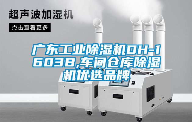 廣東工業除濕機DH-1603B,車間倉庫除濕機優選品牌