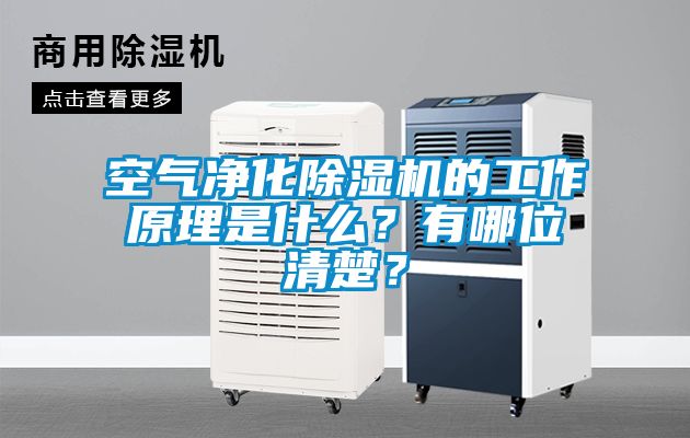 空氣凈化除濕機的工作原理是什么？有哪位清楚？