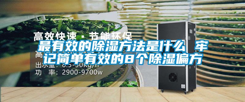 最有效的除濕方法是什么 牢記簡單有效的8個除濕偏方