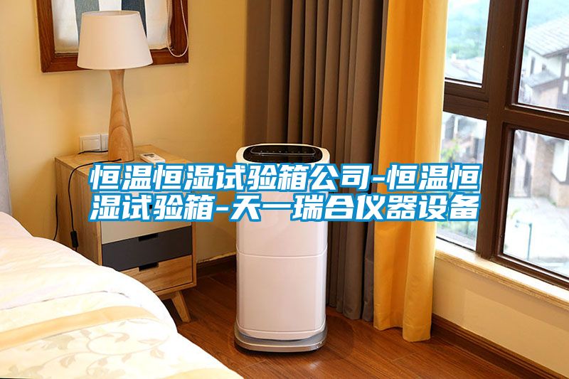 恒溫恒濕試驗箱公司-恒溫恒濕試驗箱-天一瑞合儀器設備