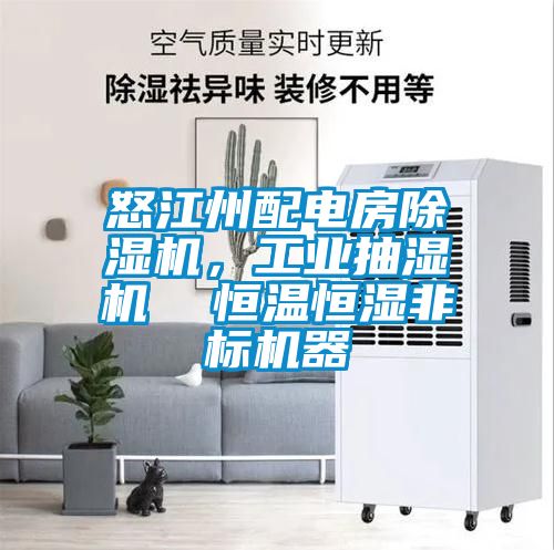 怒江州配電房除濕機，工業抽濕機  恒溫恒濕非標機器