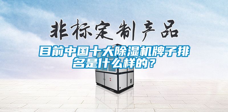 目前中國(guó)十大除濕機(jī)牌子排名是什么樣的？