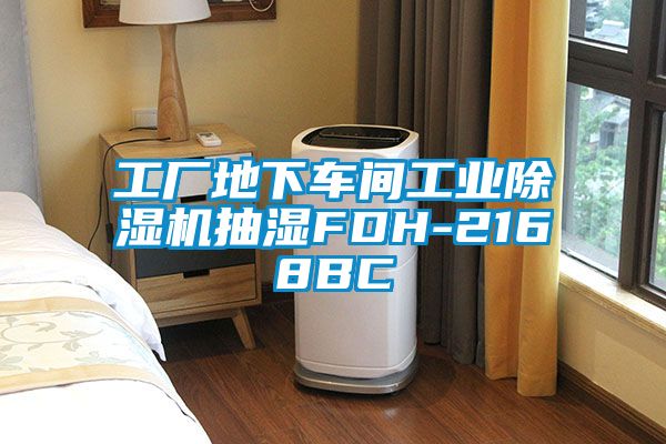 工廠地下車間工業除濕機抽濕FDH-2168BC
