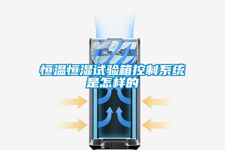 恒溫恒濕試驗箱控制系統是怎樣的