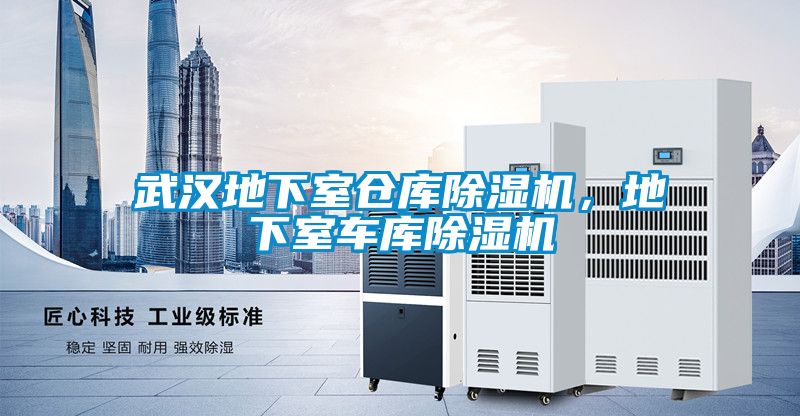 武漢地下室倉庫除濕機，地下室車庫除濕機