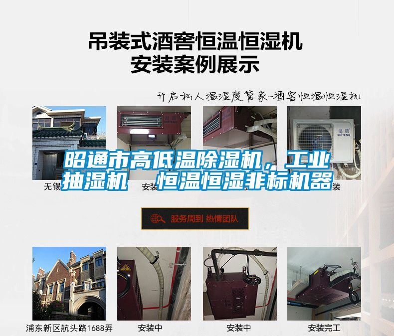 昭通市高低溫除濕機(jī)，工業(yè)抽濕機(jī)  恒溫恒濕非標(biāo)機(jī)器