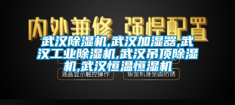 武漢除濕機,武漢加濕器,武漢工業除濕機,武漢吊頂除濕機,武漢恒溫恒濕機