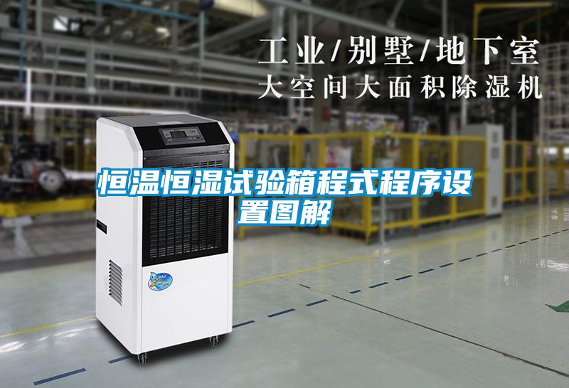恒溫恒濕試驗箱程式程序設置圖解