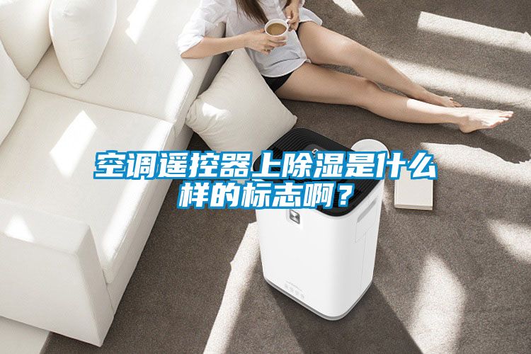 空調遙控器上除濕是什么樣的標志啊？
